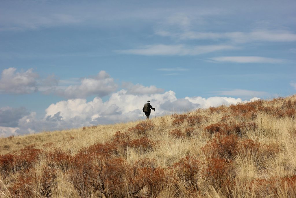 A solitary hiker with a backpack traversing a grassy field under a bright blue sky with clouds.