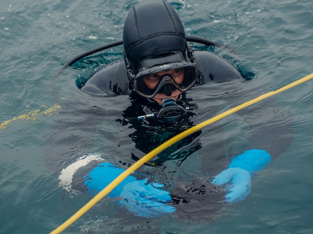 A professional diver in wetsuit and scuba gear holding a sea urchin in the ocean.